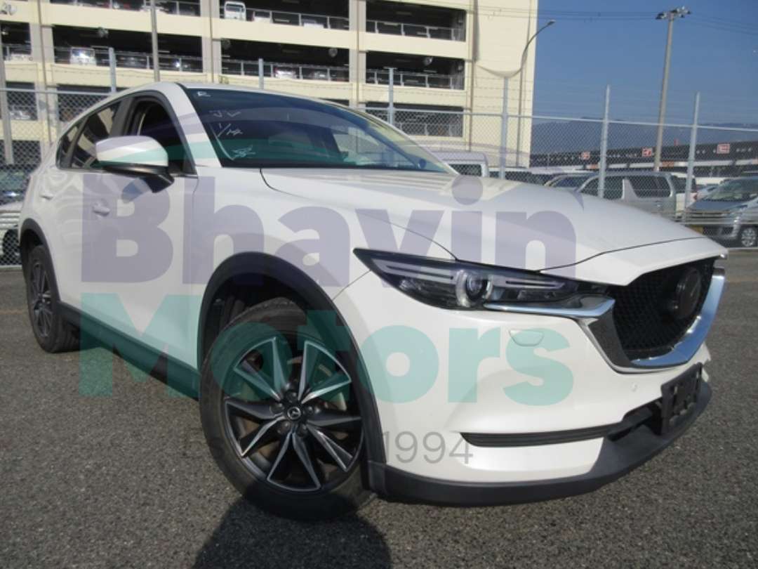 GridArt_20250208_104403763