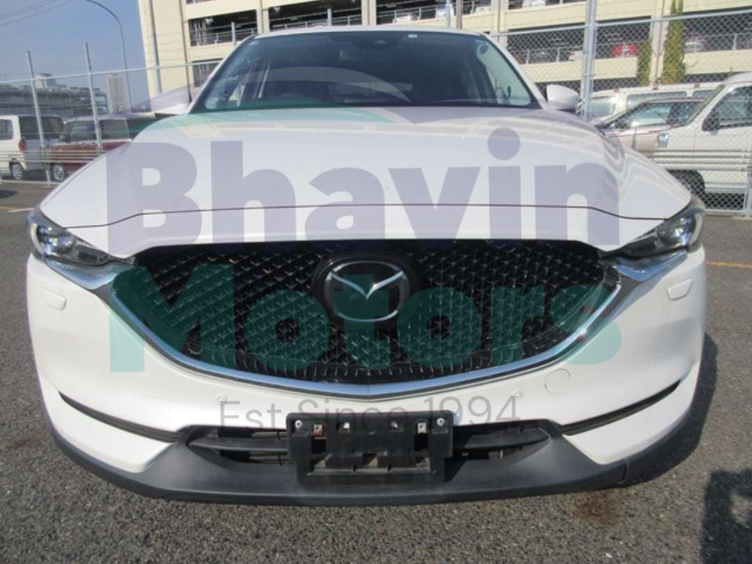 GridArt_20250208_104438116