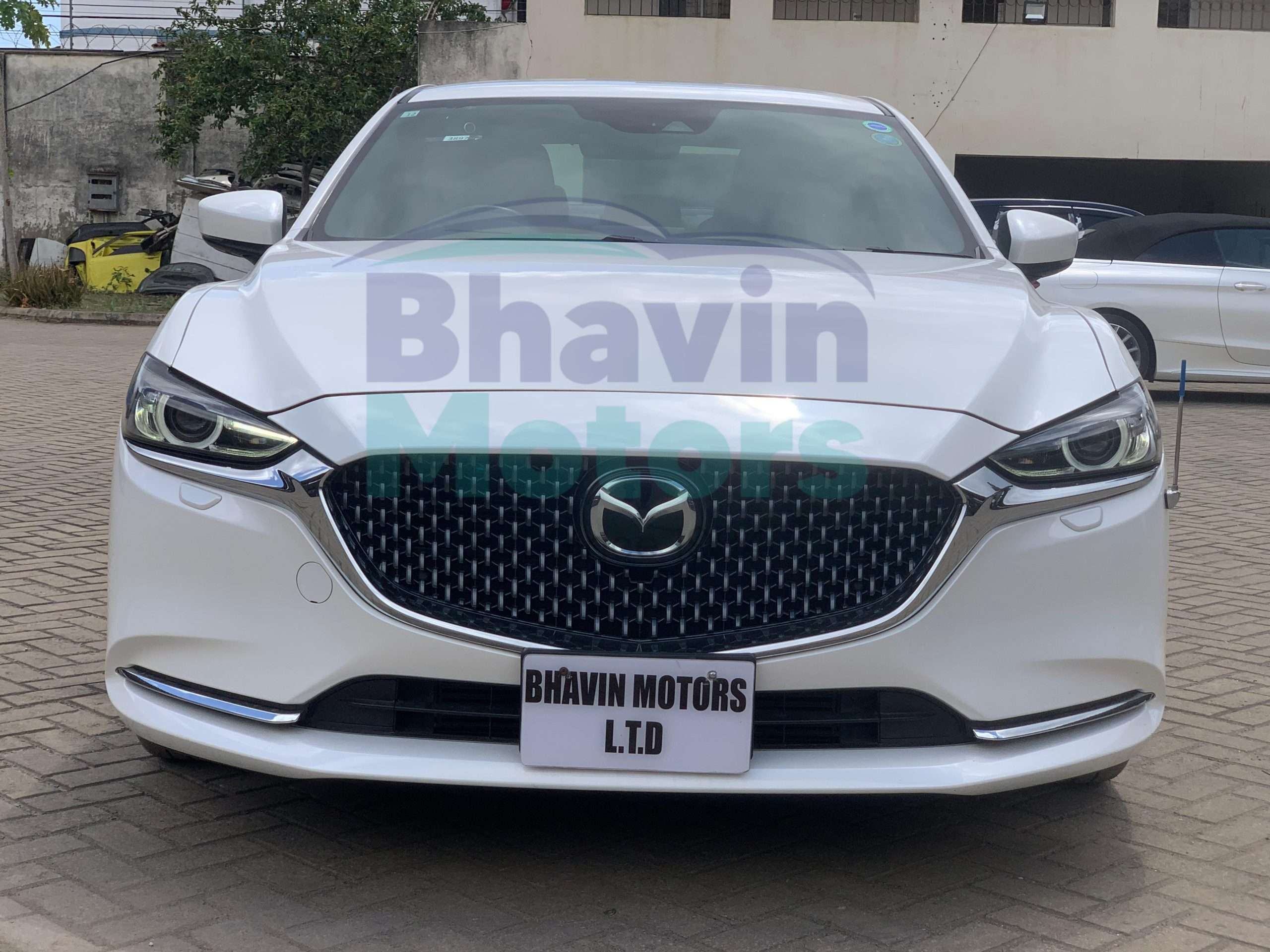 GridArt_20250211_144429950