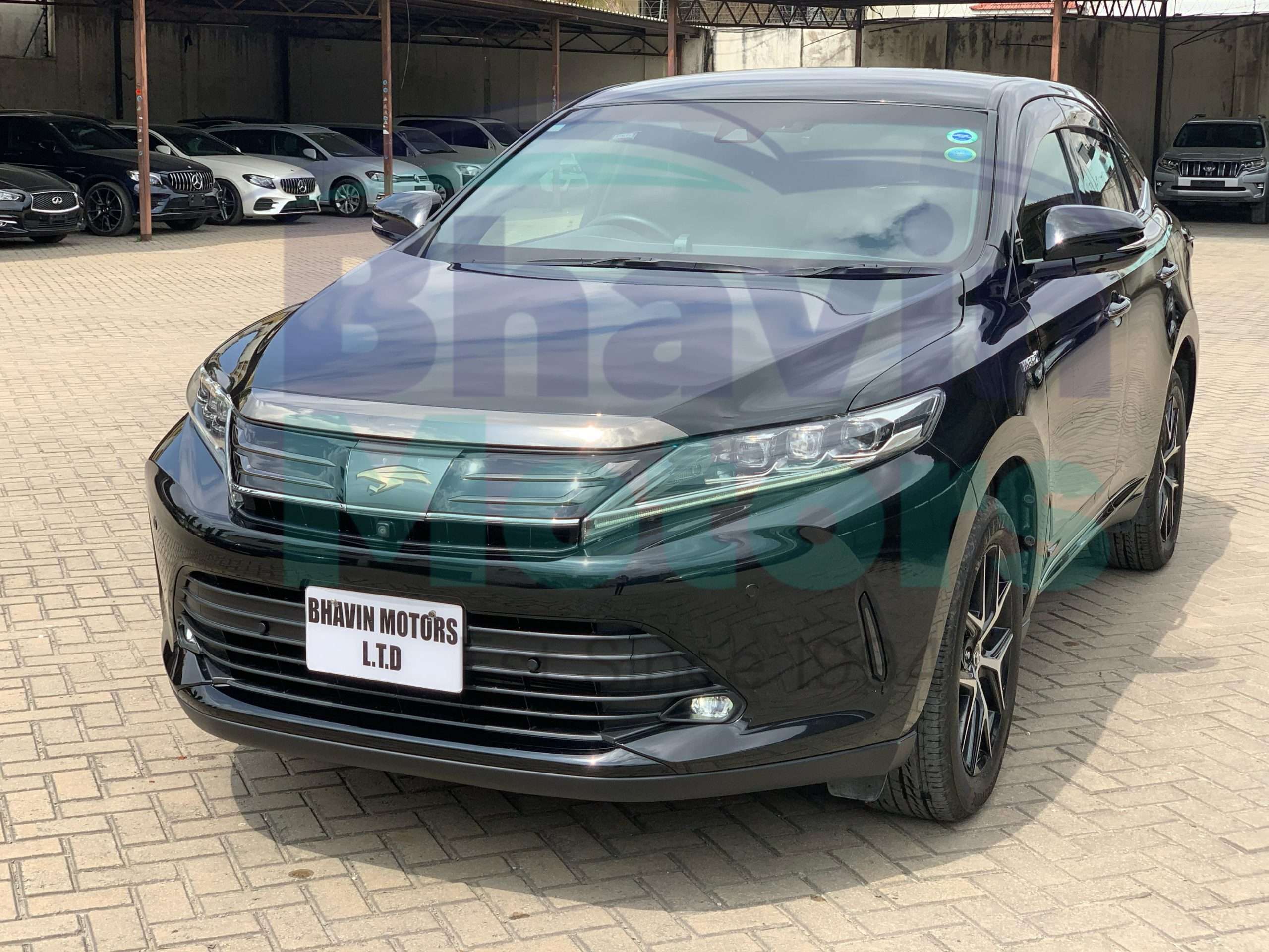 GridArt_20250220_141941486