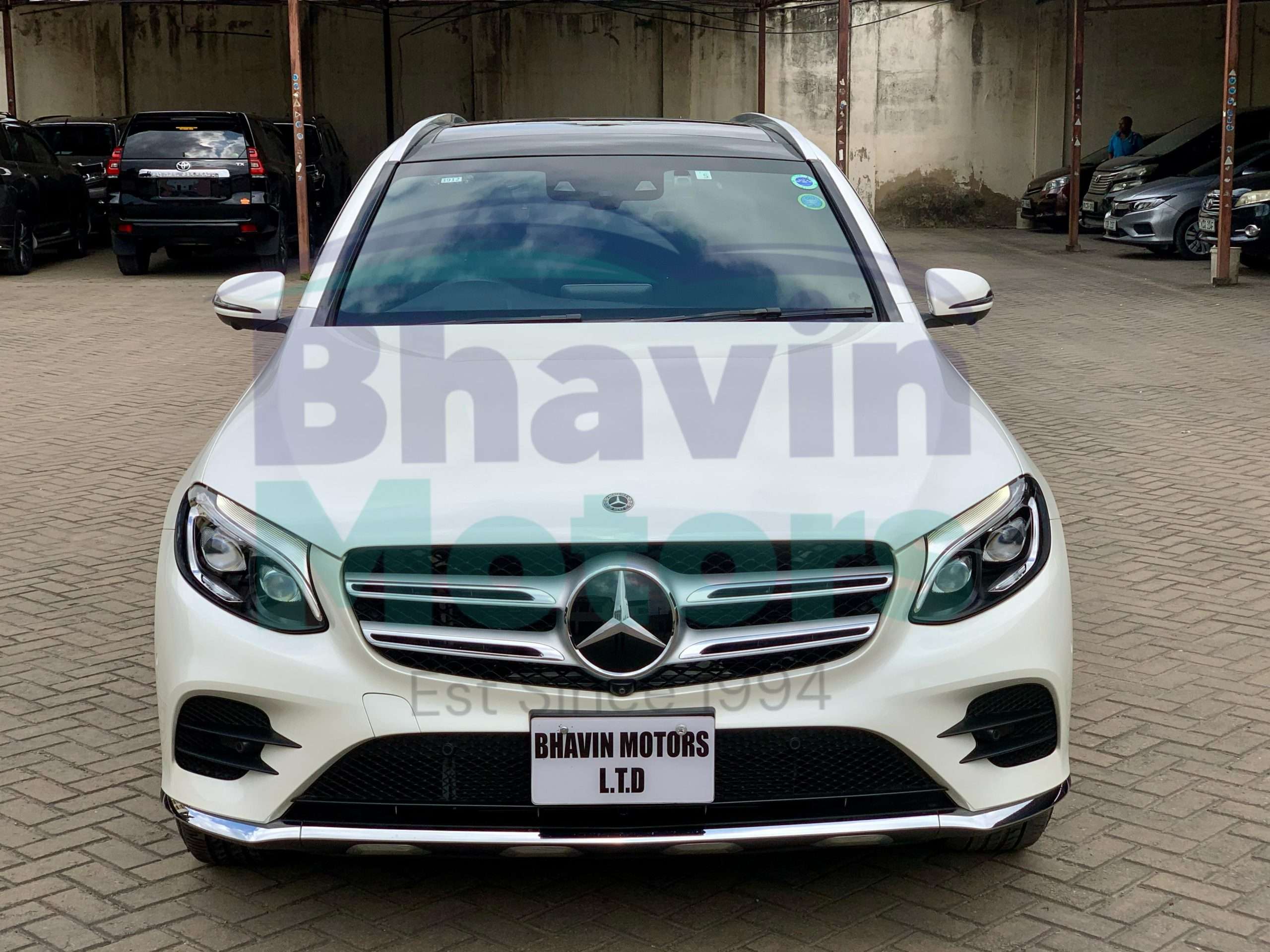 GridArt_20250225_101453019