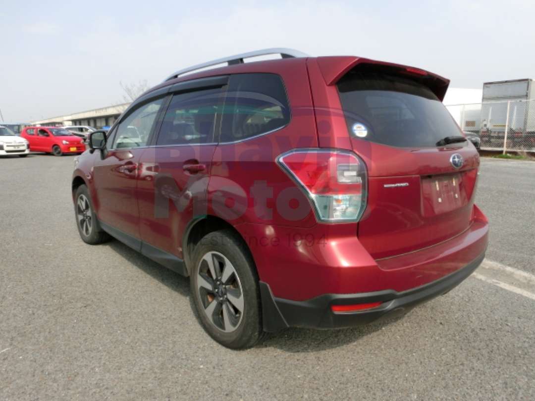 GridArt_20250325_134252217