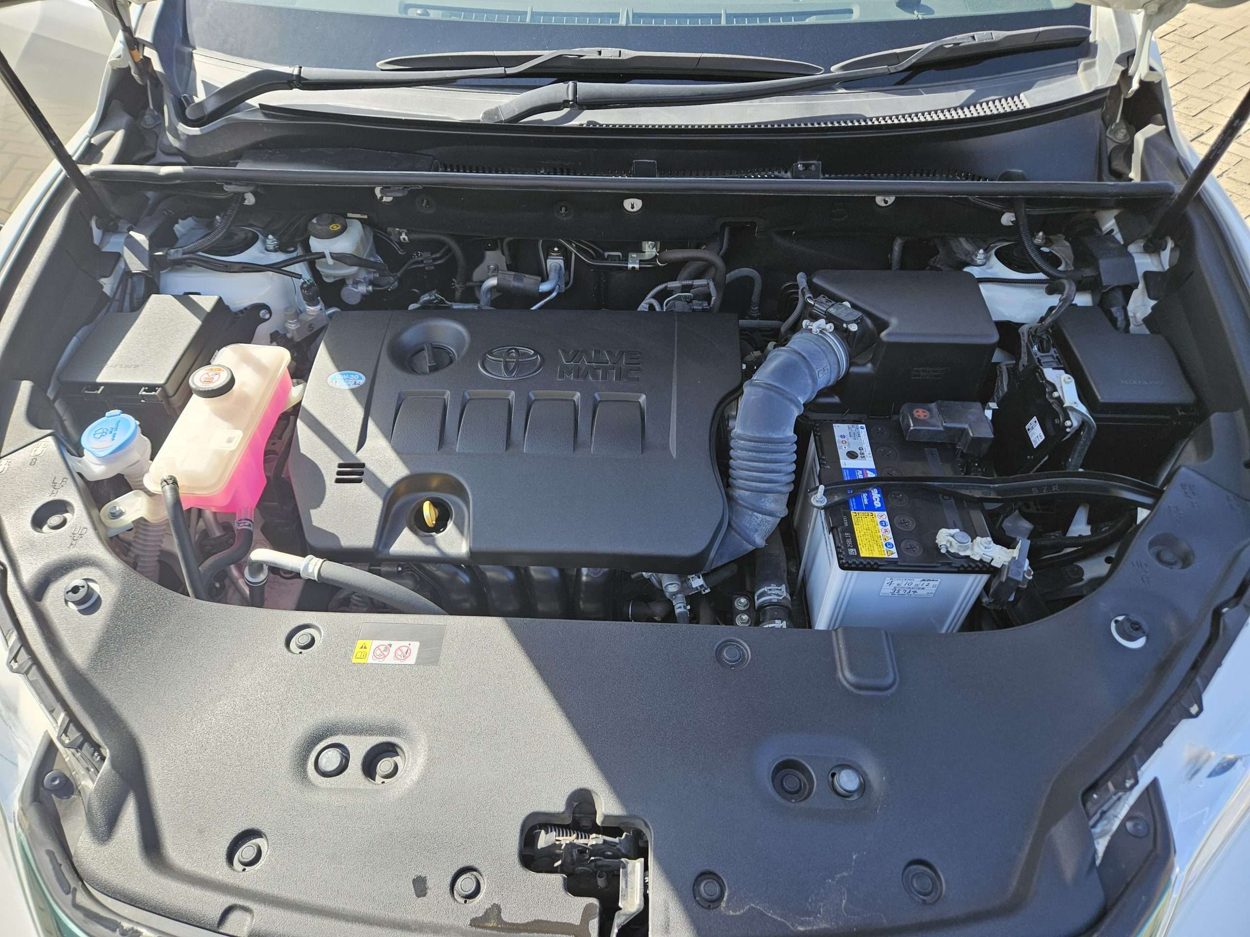 WhatsApp Image 2025-05-22 at 3.41.37 PM (1)