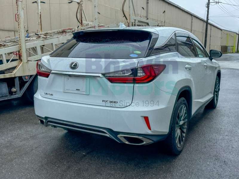 WhatsApp Image 2025-05-26 at 4.19.13 PM (1)