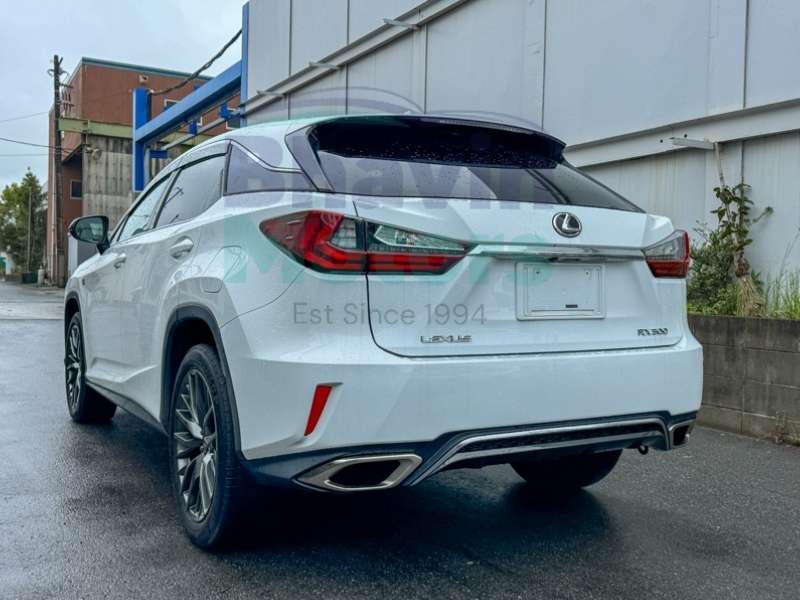 WhatsApp Image 2025-05-26 at 4.20.42 PM