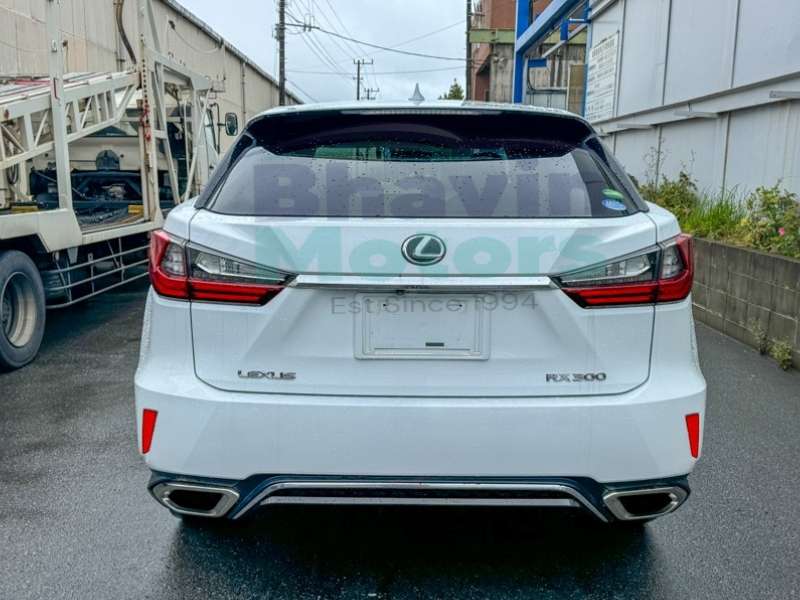 WhatsApp Image 2025-05-26 at 4.21.11 PM