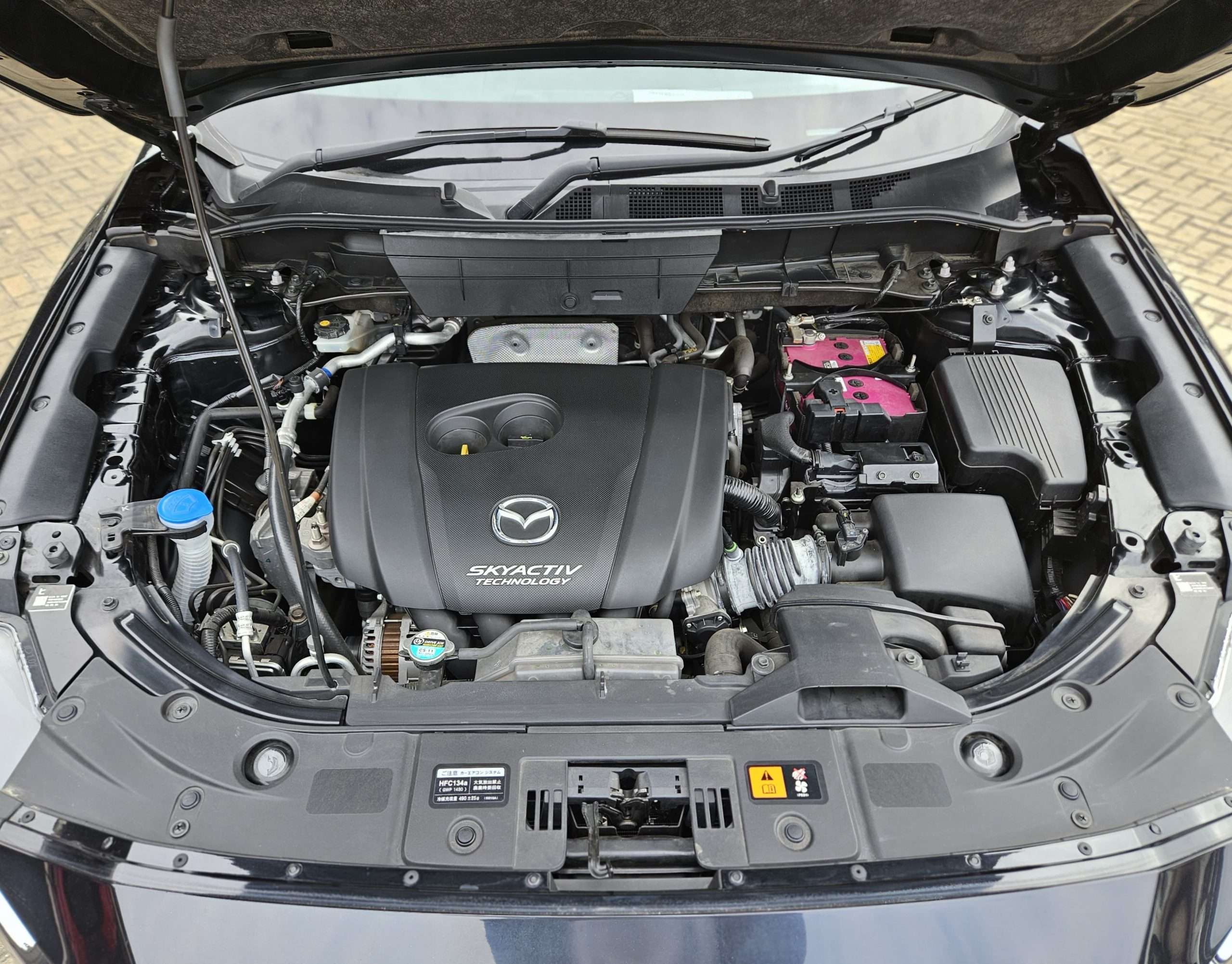 WhatsApp Image 2025-05-28 at 3.13.14 PM