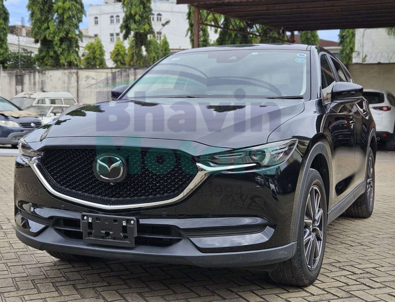 WhatsApp Image 2025-05-28 at 5.05.50 PM