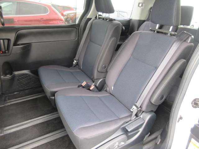 18 Voxy(400)pearl-07