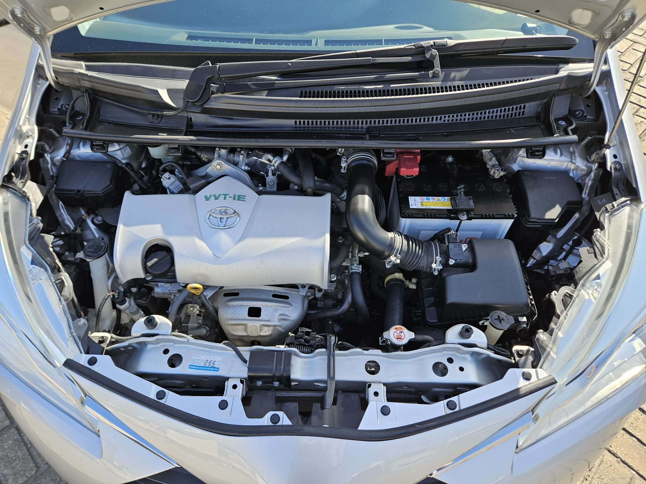 WhatsApp Image 2025-05-29 at 9.02.49 AM (1)