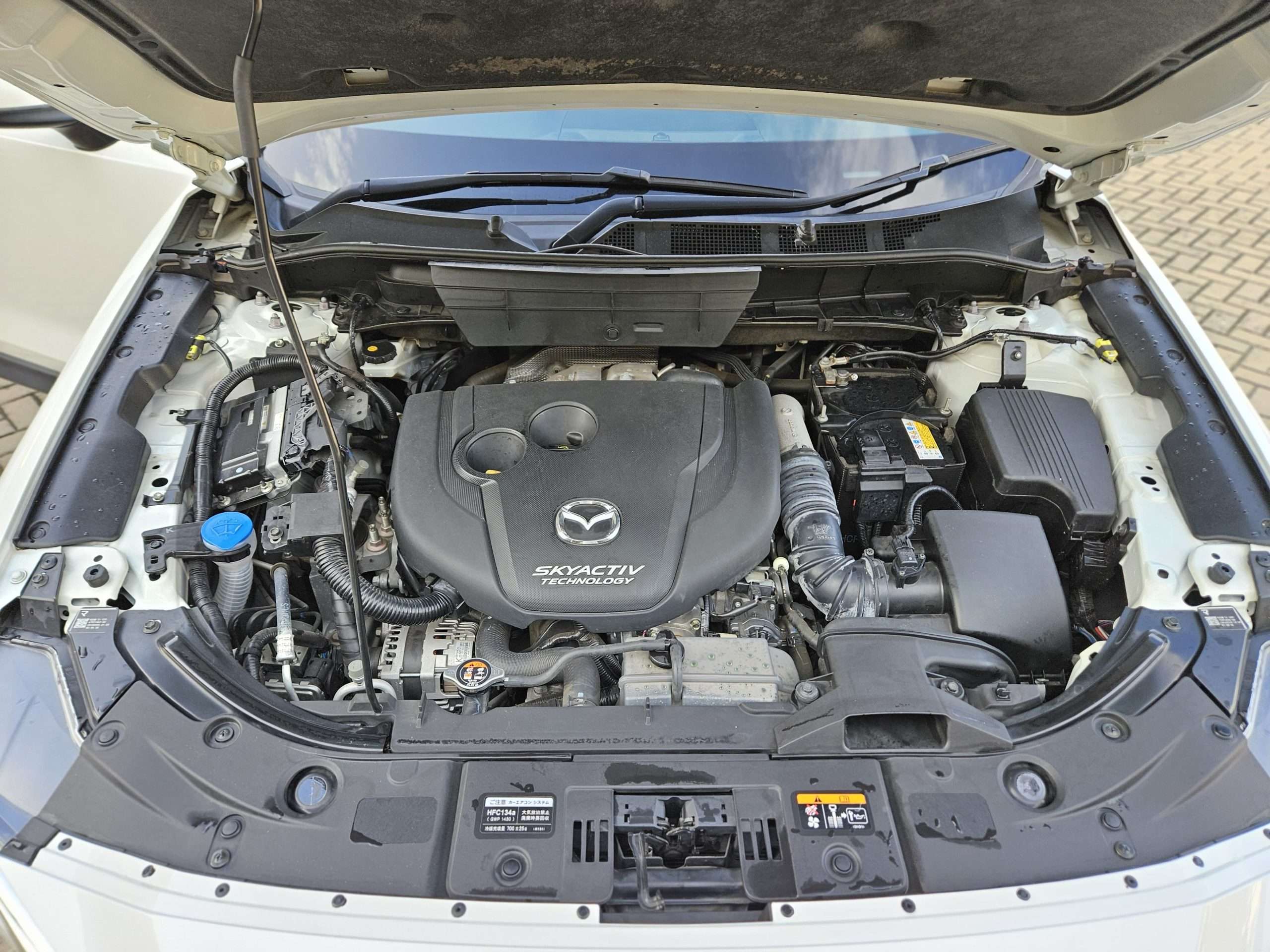 WhatsApp Image 2025-06-10 at 9.33.14 AM (1) (1)