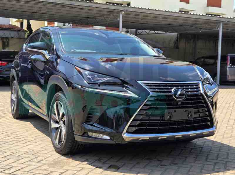 GridArt_20251211_132155077