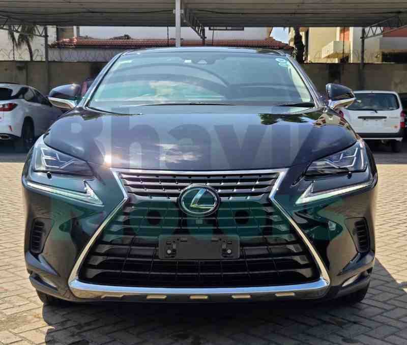 GridArt_20251211_132212394