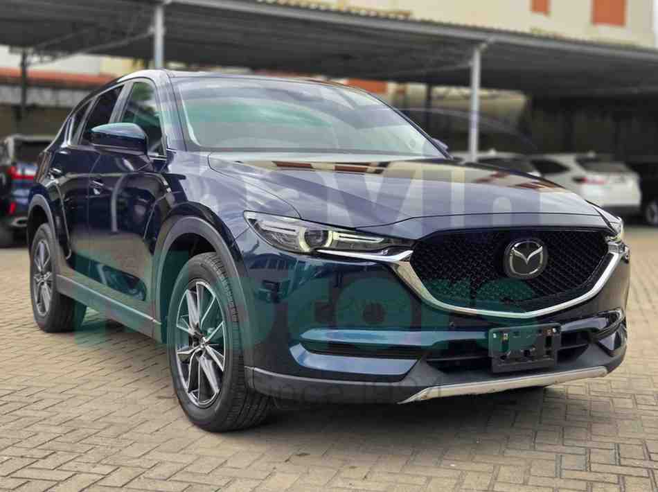 GridArt_20260115_135124993