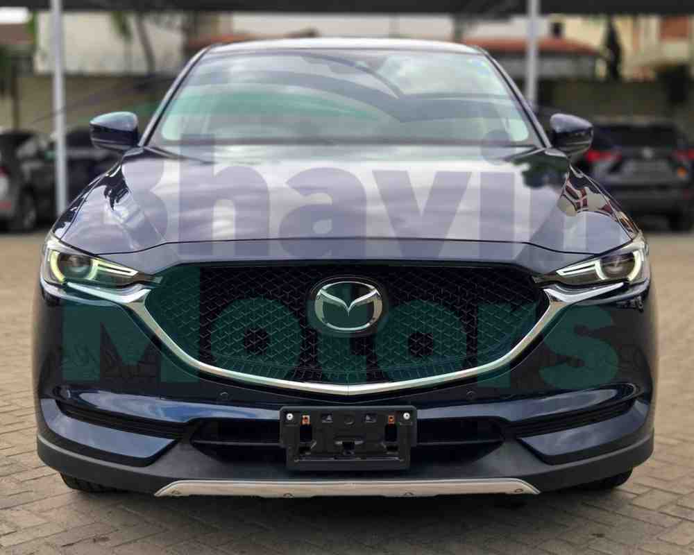 GridArt_20260115_135139518