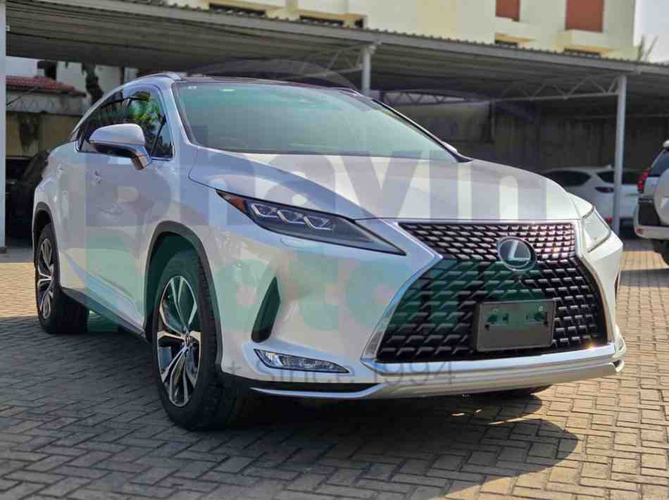 GridArt_20260211_162111761