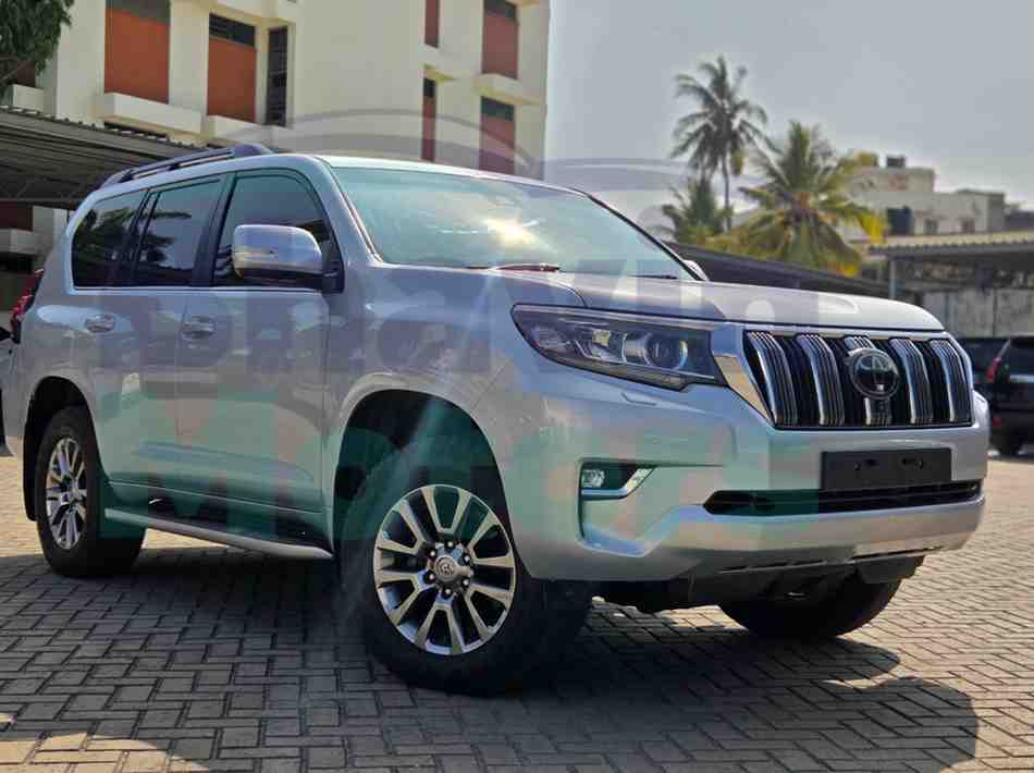 GridArt_20260211_162240230