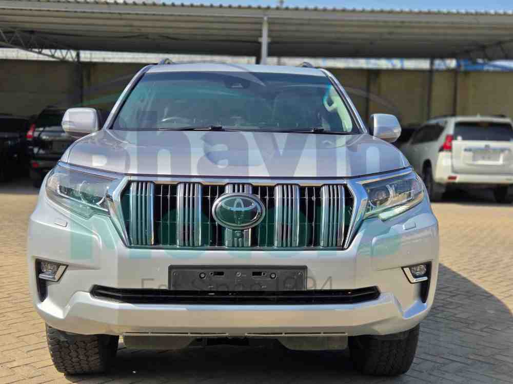 GridArt_20260211_162458894