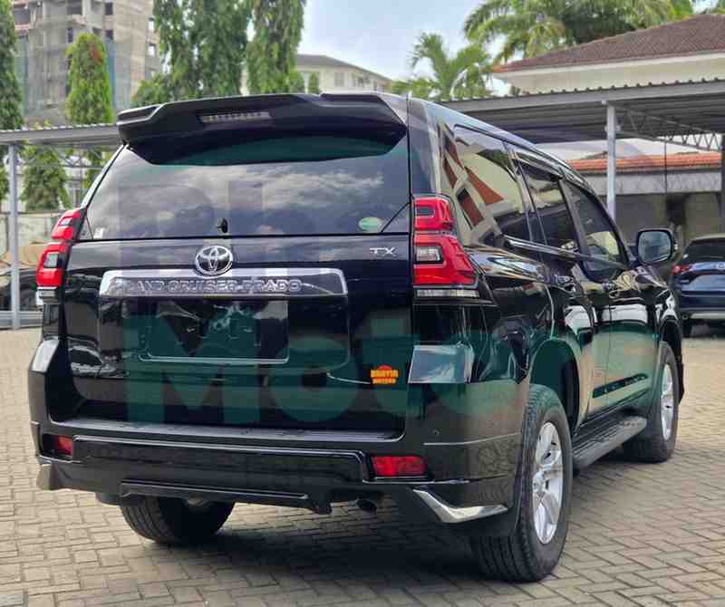 GridArt_20260211_163144173