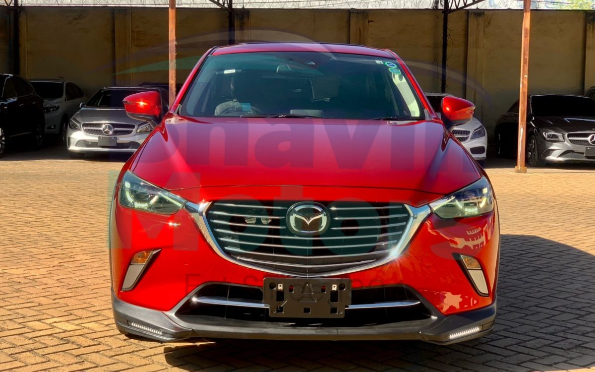 GridArt_20241115_093927850