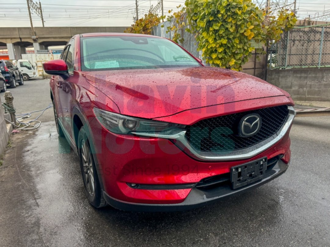 GridArt_20241231_091316960