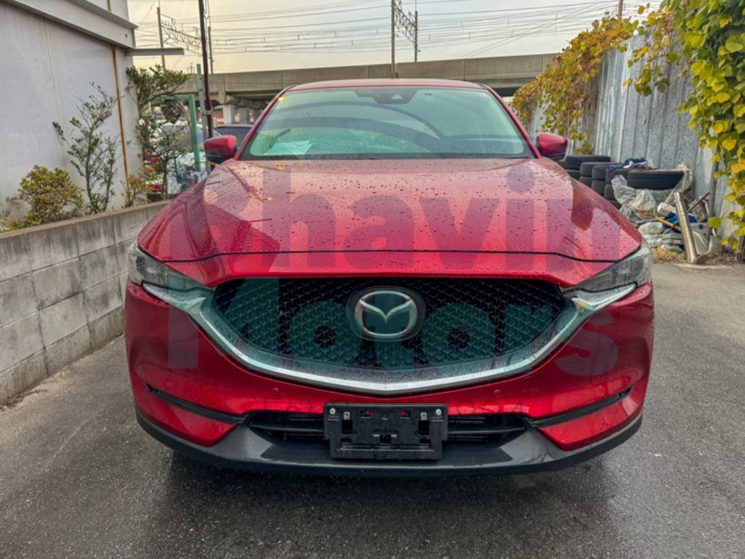 GridArt_20241231_091550170