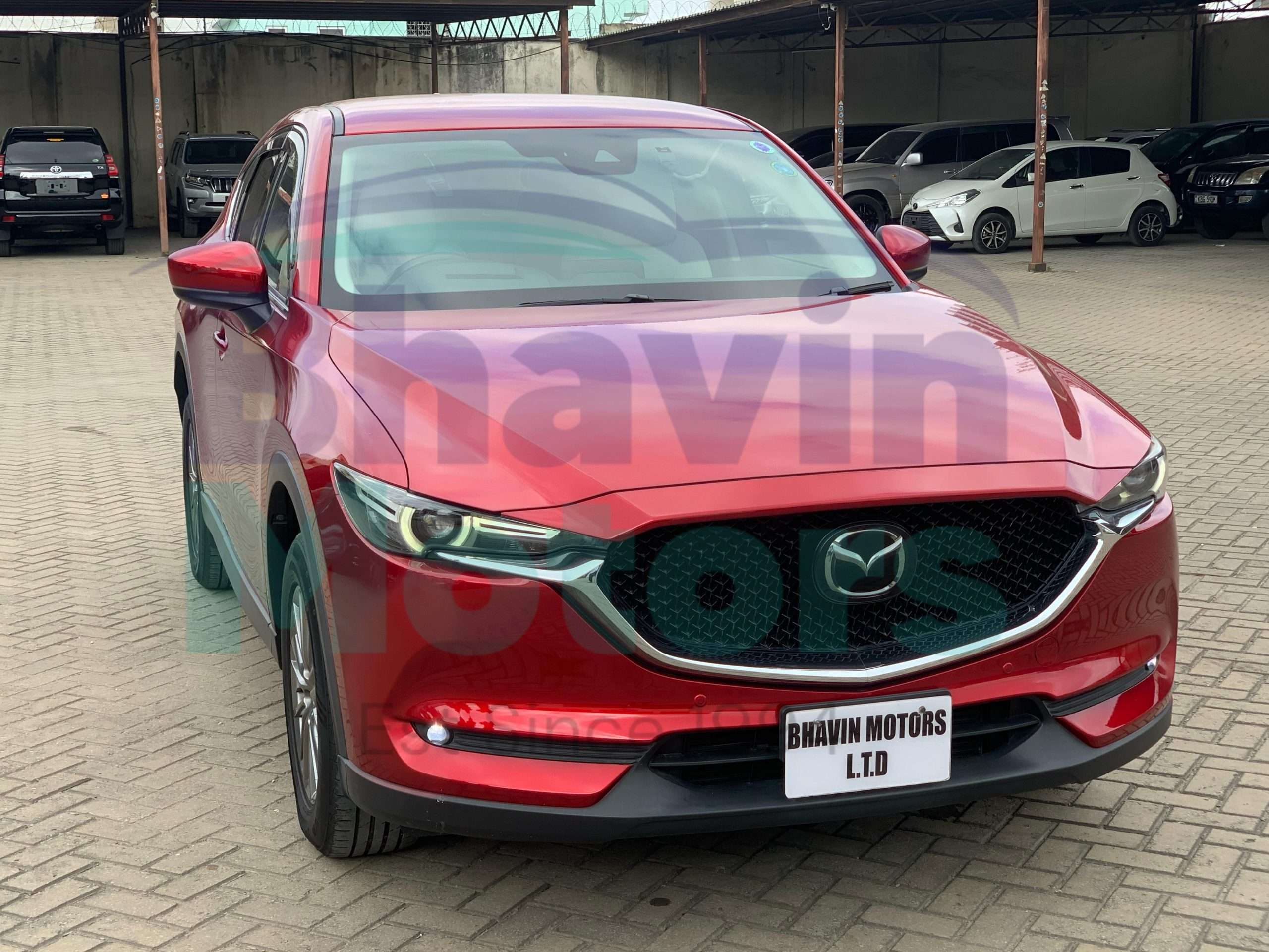 GridArt_20250220_095219505 (1)