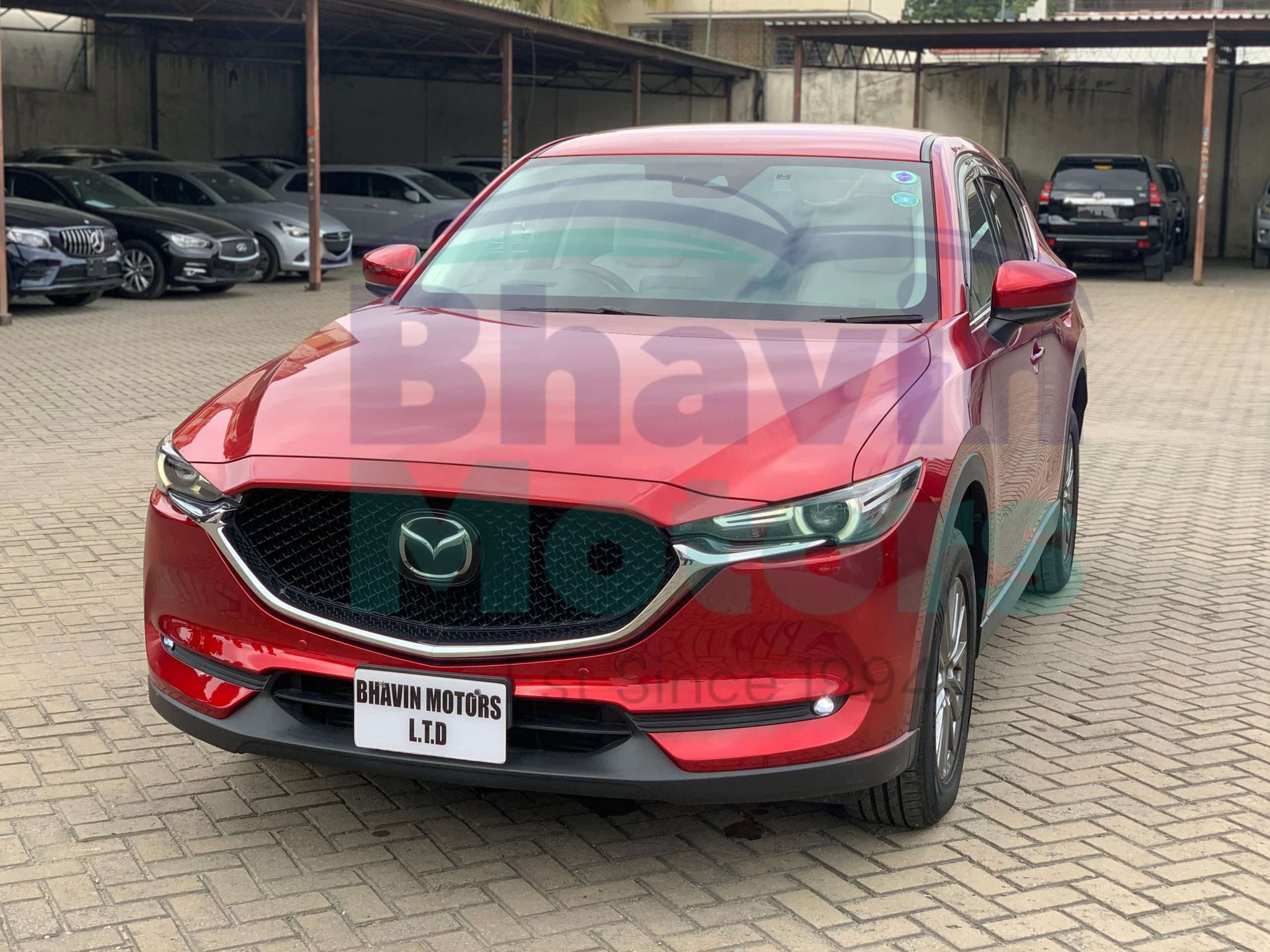 GridArt_20250220_095254506