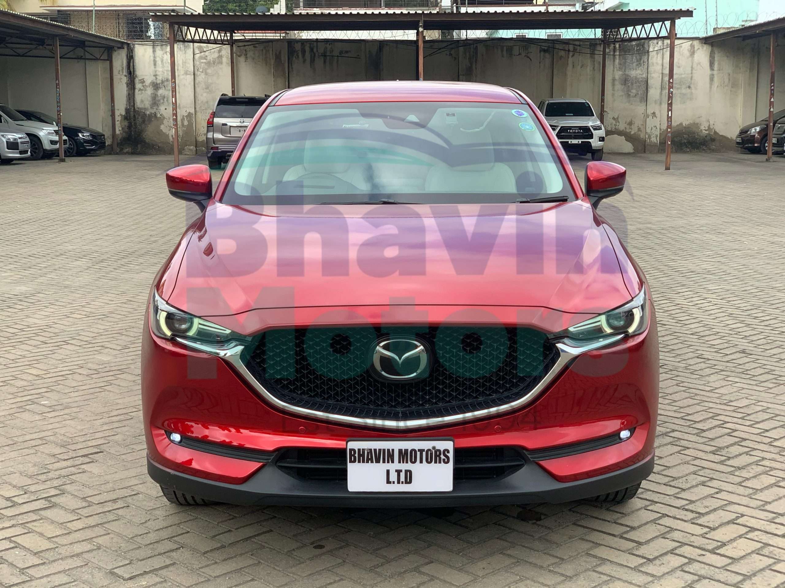 GridArt_20250220_095313290