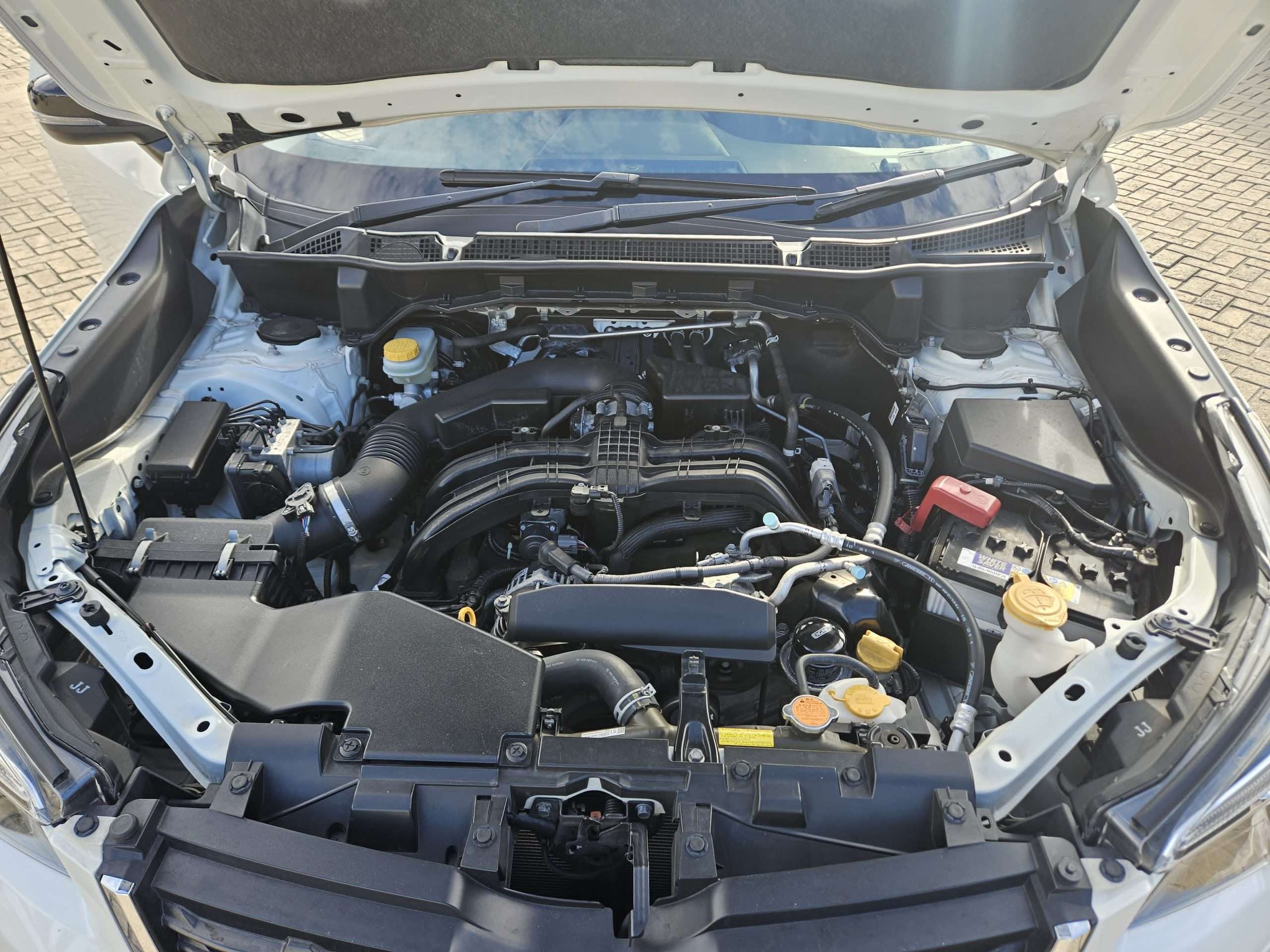 WhatsApp Image 2025-05-02 at 10.38.37 AM (2)