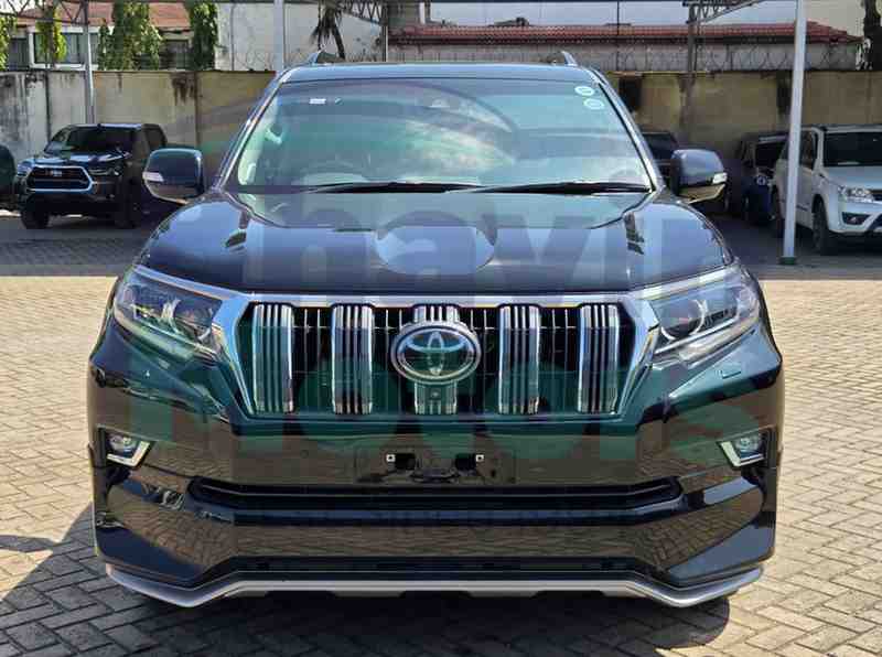 GridArt_20251117_114502624 (1)