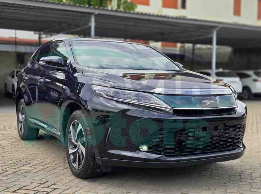 GridArt_20260115_134903427