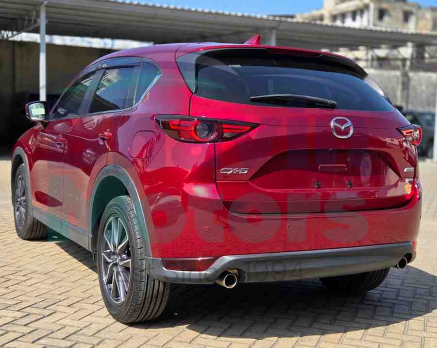 GridArt_20260116_072142573