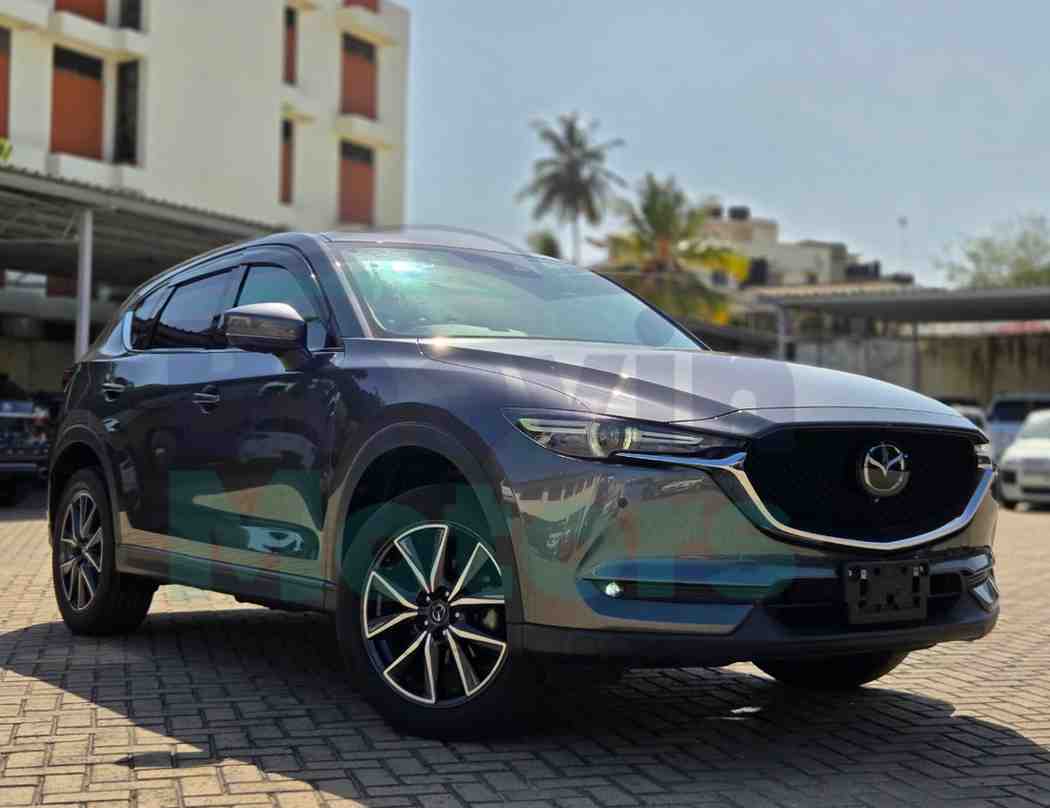 GridArt_20260121_140014416