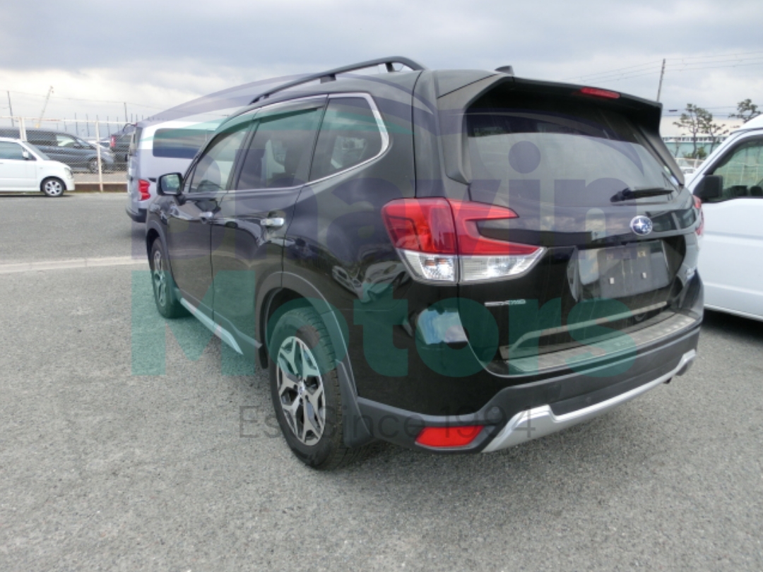 GridArt_20260123_130337015