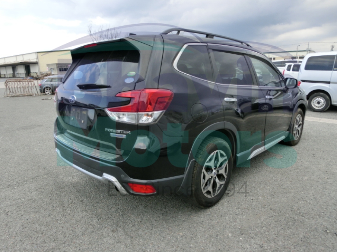 GridArt_20260123_130348914