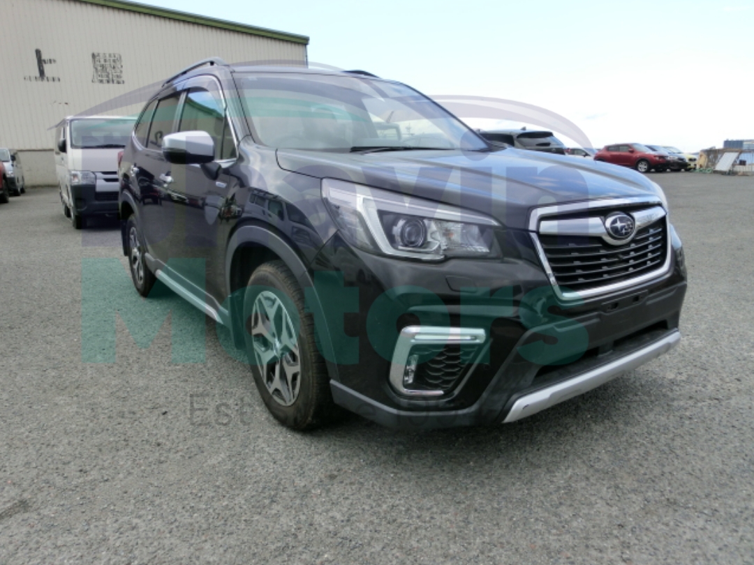 GridArt_20260123_130401680