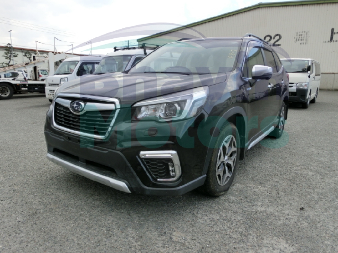 GridArt_20260123_130413129