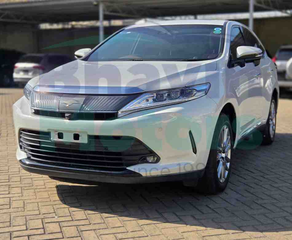 GridArt_20260217_140016526