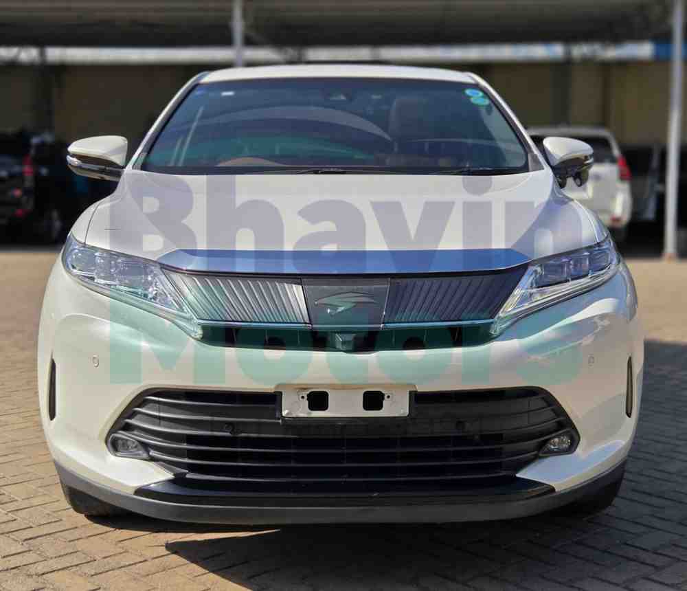 GridArt_20260217_140043496