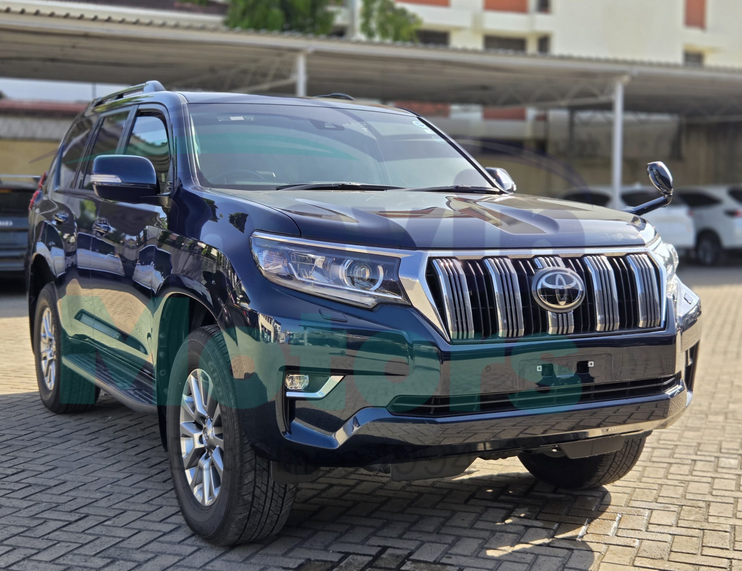 GridArt_20260203_093819885