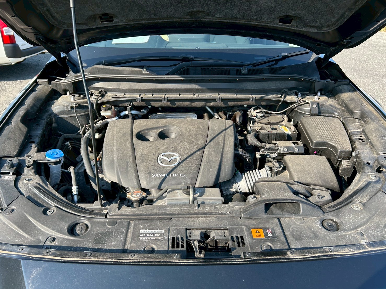 113589 (2)