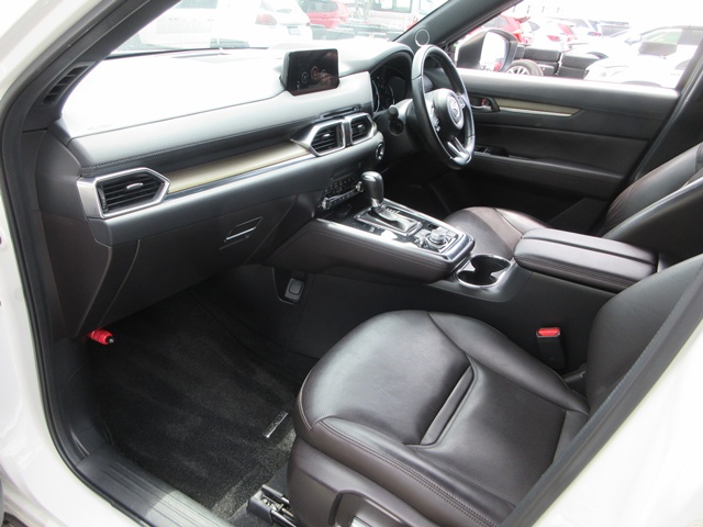 19 CX-8(828)pearl-05