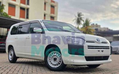 4196 Toyota Probox Hybrid GL