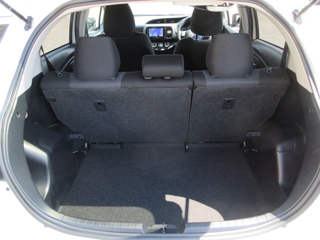 19 Vitz(480)pearl-08