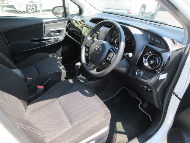 19 Vitz(480)pearl-15
